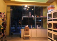 如何经营好一个猫舍