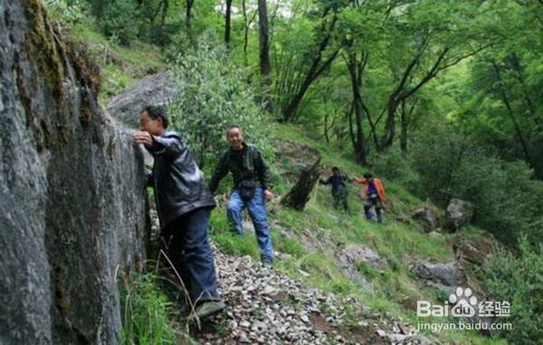 旅游时灌木林穿越知识