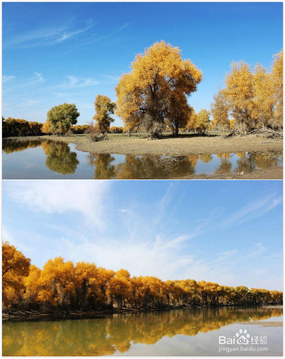 北京马拉松遇重霾 盘点全国十大洗肺的森林氧吧