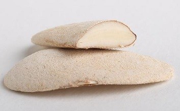 向天果降血压的功效