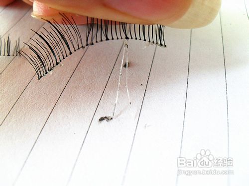 假睫毛的免洗清理方法