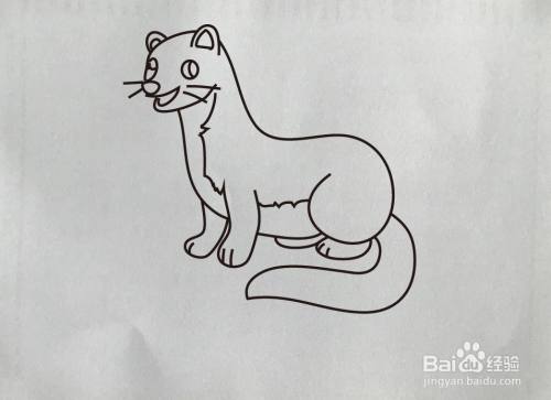 如何画黄鼠狼简笔画