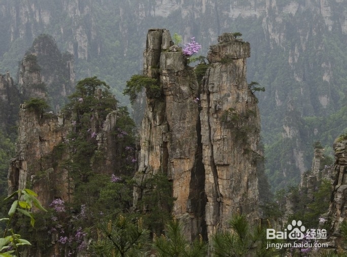 菏泽到张家界自驾游