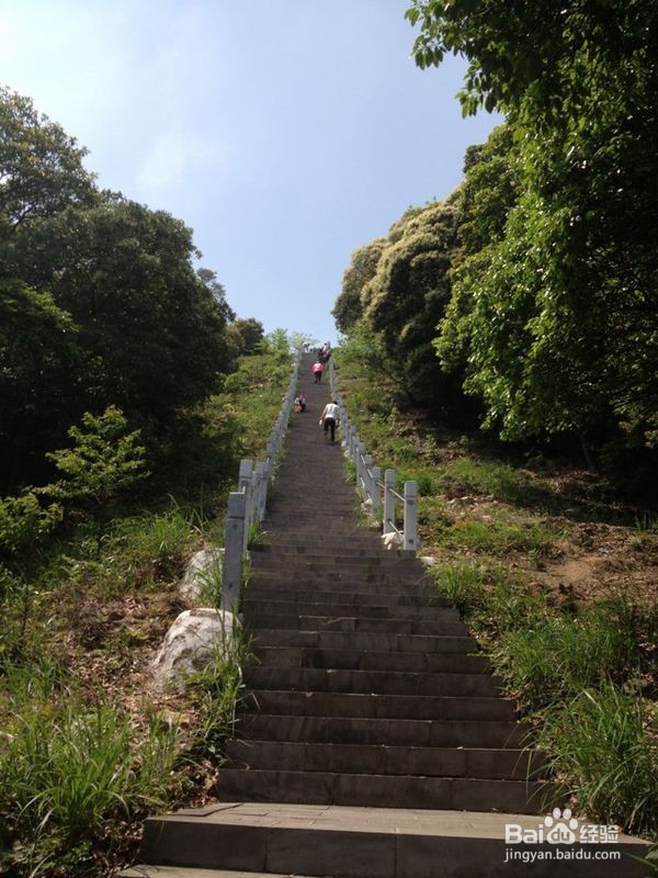 怎么样才能长高