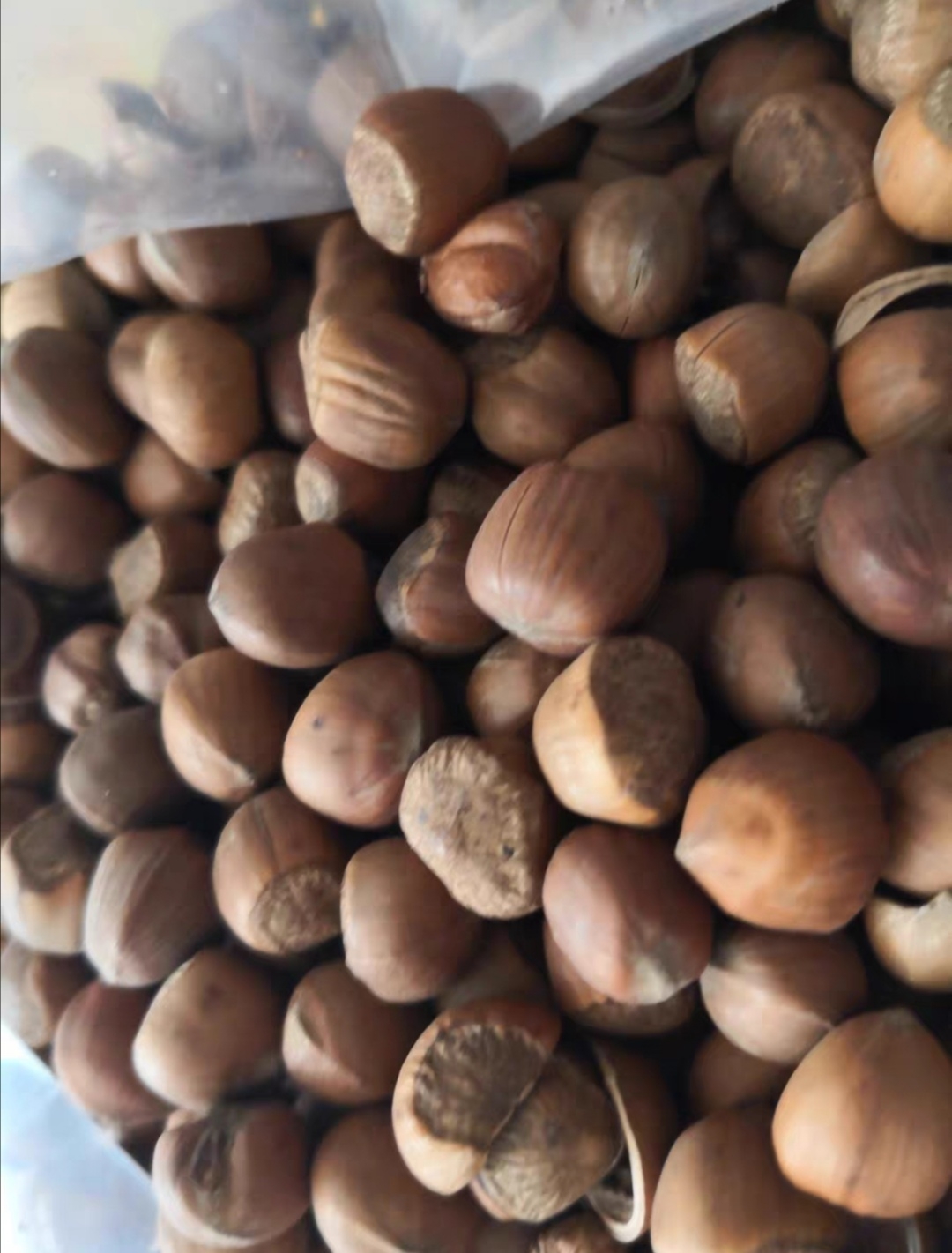 掉发严重怎么办这些食材帮你迅速恢复浓密发量