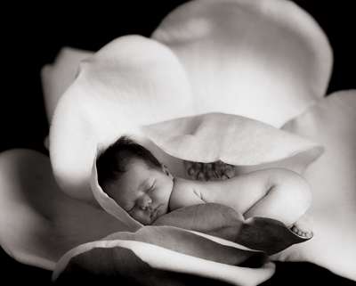 新生儿肚脐清洗小窍门