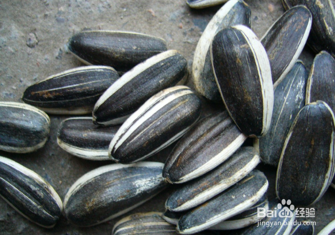 吃什么可以治疗失眠（一）