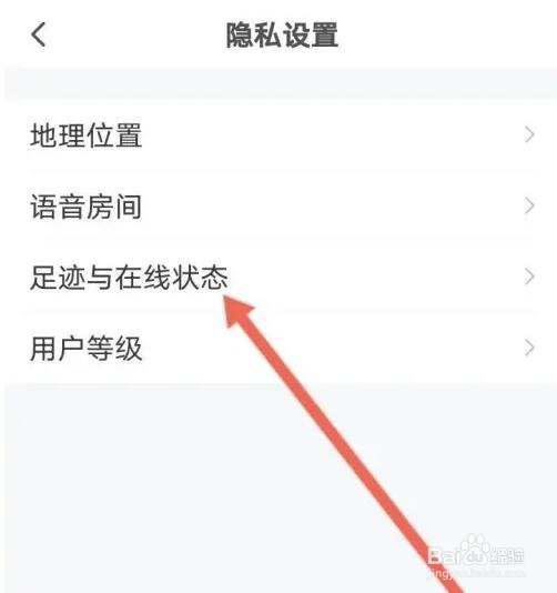 皮皮APP如何开启隐藏在线状态