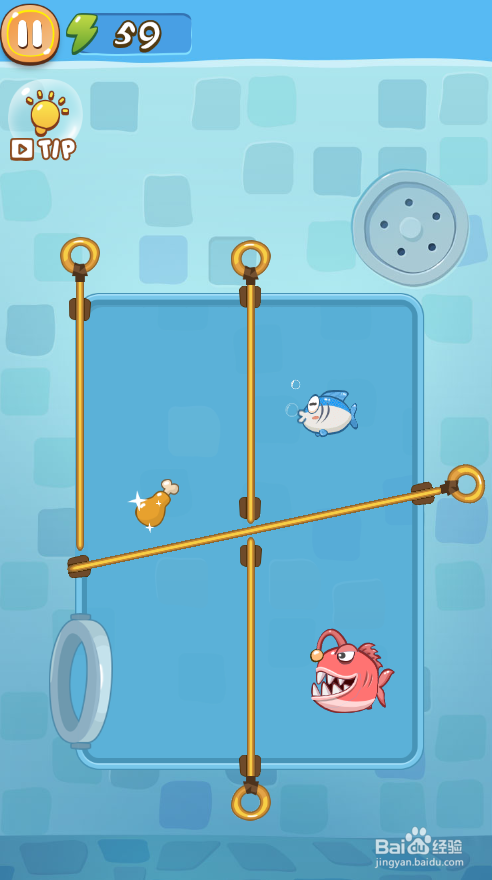 A Wise Fish的Level 2如何通关?