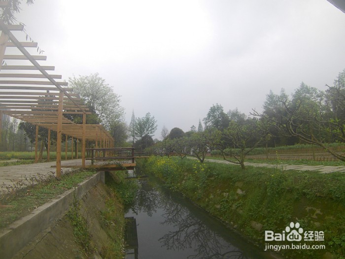 PS教程把风景照片调成彩色油画效果的