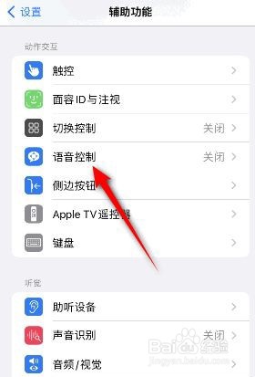 iphone语音控制显示提示如何关闭