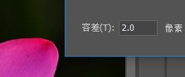 PS如何将选区建立成路径