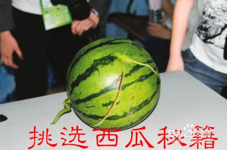 如何挑选西瓜、——挑选西瓜秘籍
