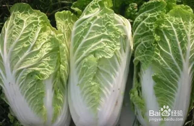 冬季感冒咳嗽,手脚干燥,嘴角裂口的小妙招