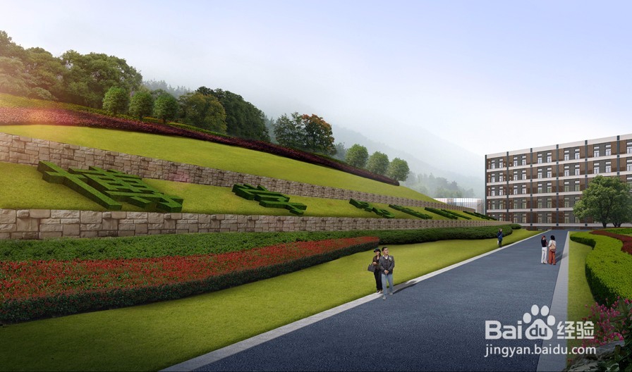 道路绿化效果图设计中的树种都有哪些分类?