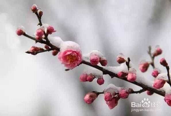 你想知道的摄影构图技巧！