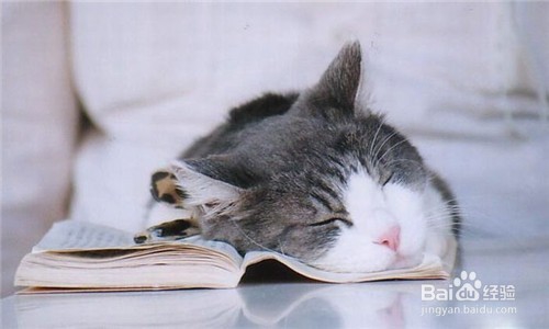 怎样提高睡眠质量
