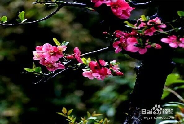 怎样瘦掉大腿部分