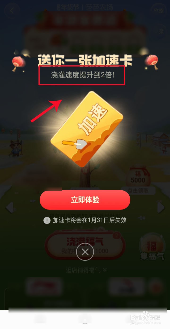 淘宝年货怎么集福气种植