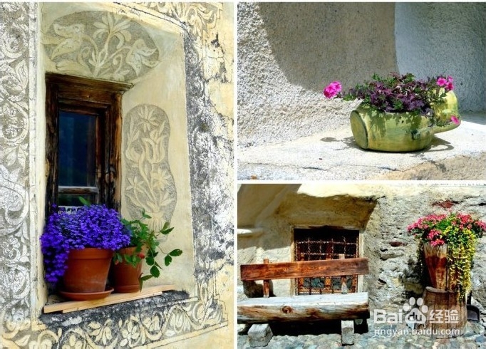 《彳亍世界》：纯净瑞士马年送你一匹马