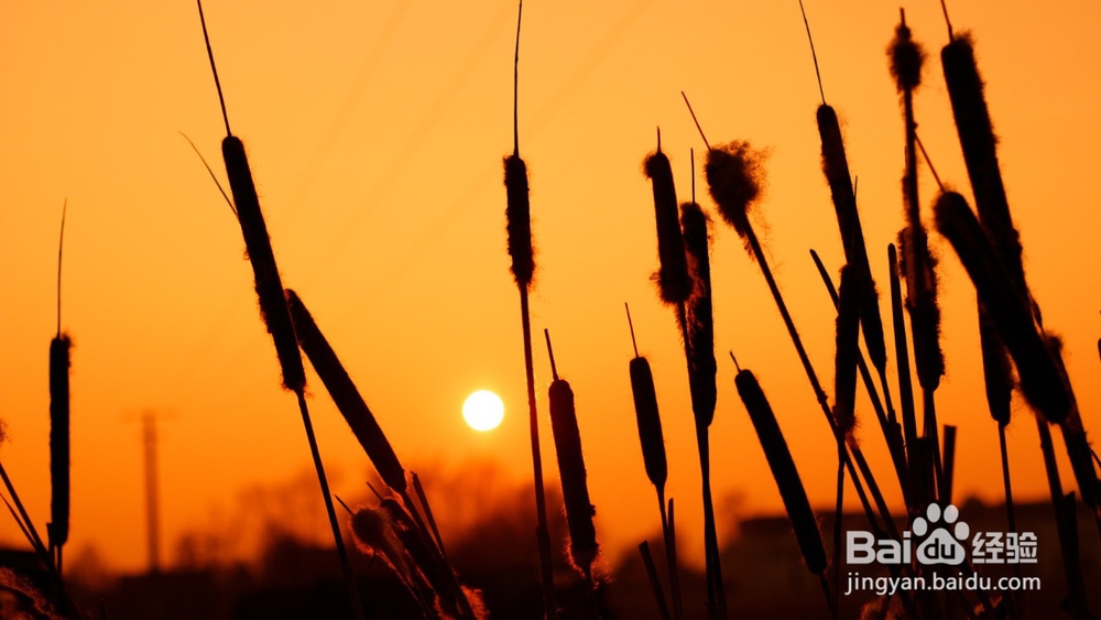 微商城后台有哪些营销核心