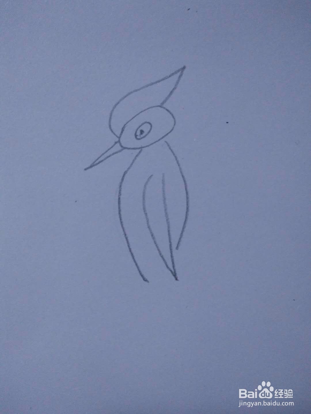 简笔画-如何画啄木鸟的简笔画?