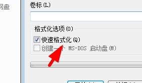 Win11如何取消快速格式化