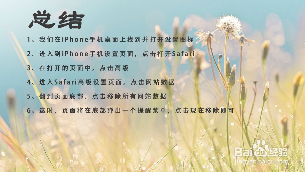 苹果iPhone手机怎样删除Safari所有网站数据？