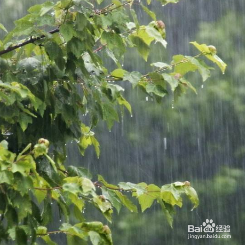 降水量是如何划分的