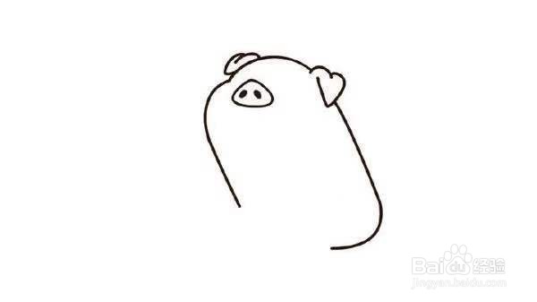 小猪的简笔画教程