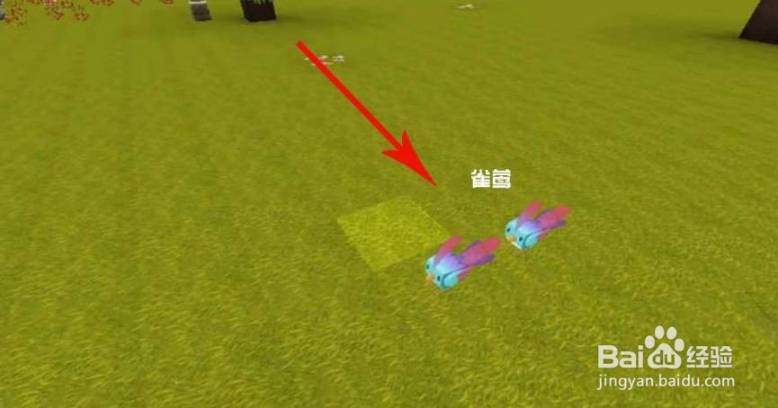 迷你世界雀莺羽毛怎么获得