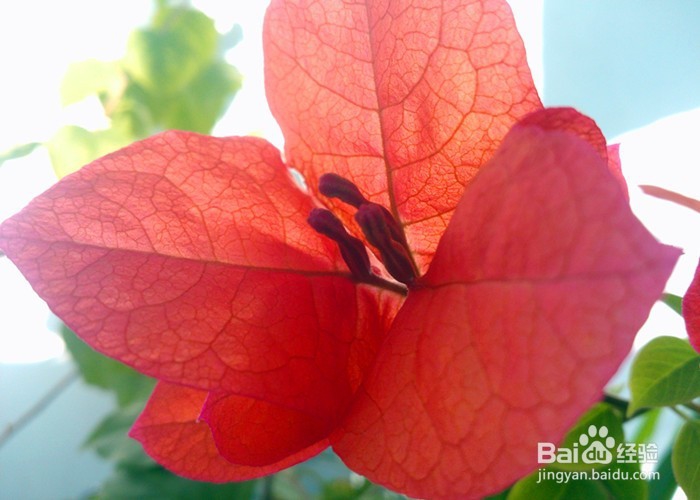 怎样拍摄生活画面