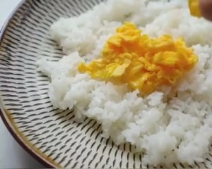 在家制作三文鱼鸡蛋青瓜寿司