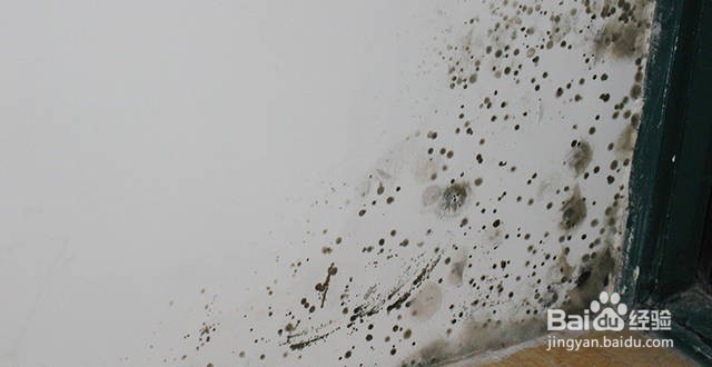 房间墙壁发霉怎么处理