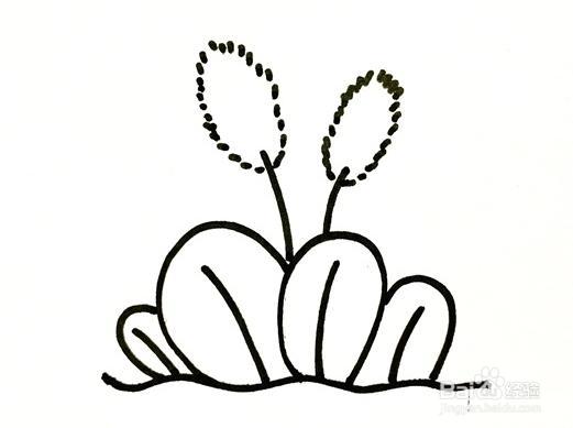 狗尾巴草简笔画怎么画