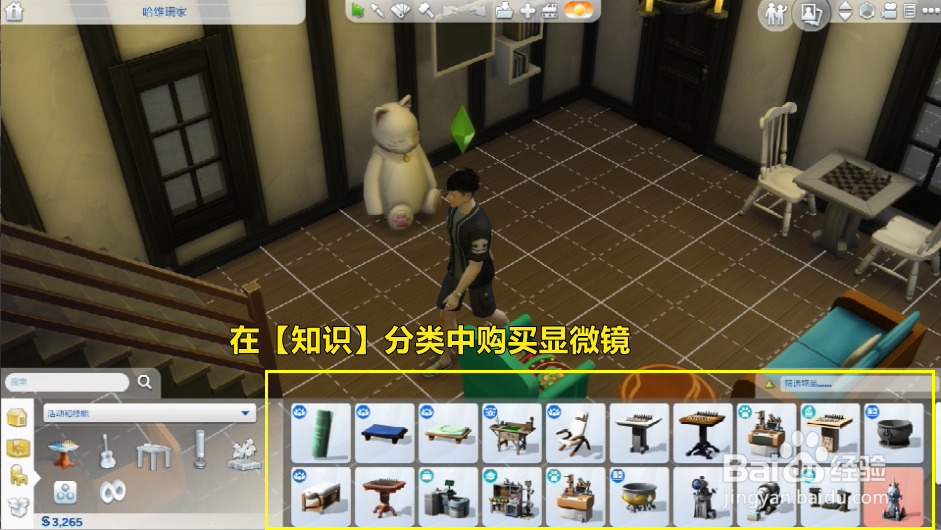 模拟人生怎么购买显微镜