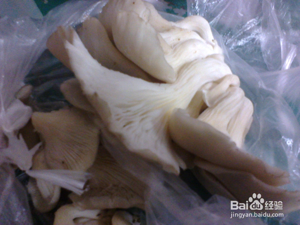 怎么自制一个人的小火锅