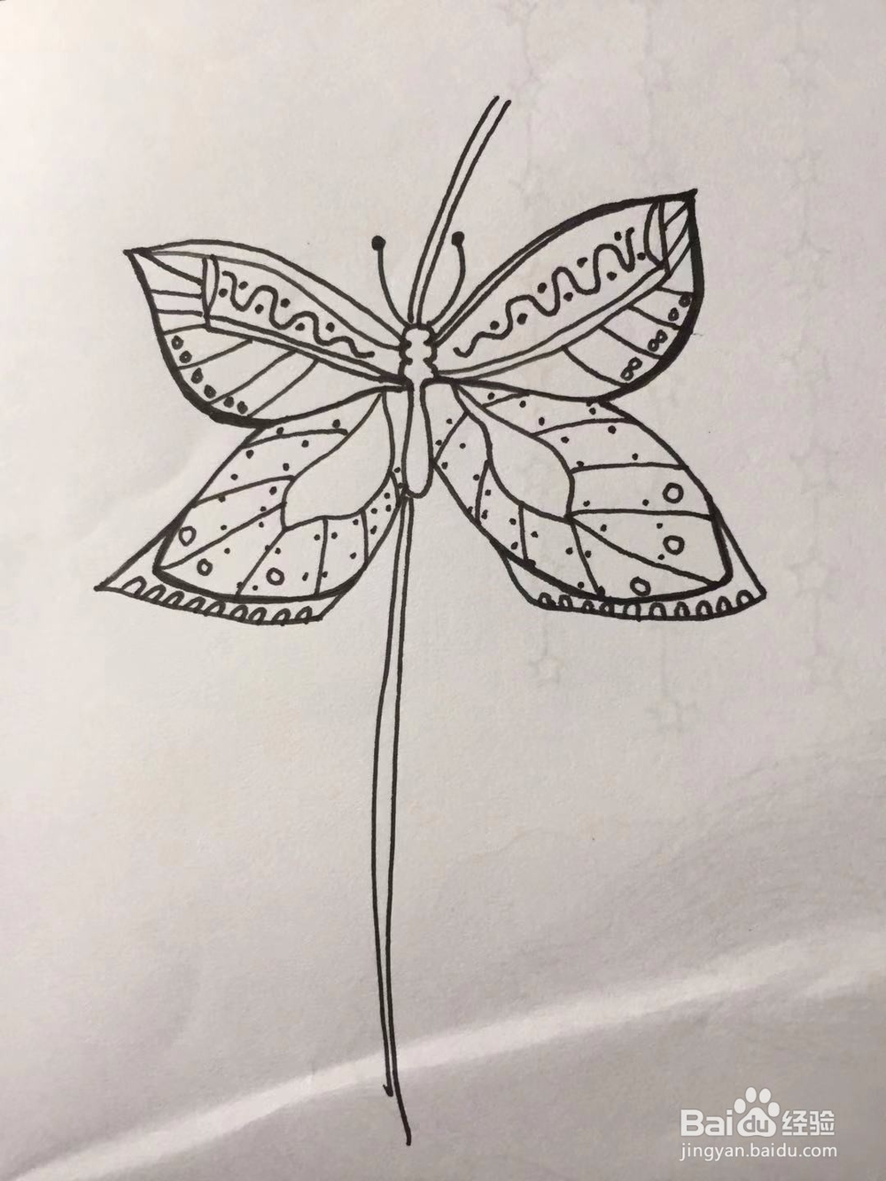 茉莉手绘之蝴蝶