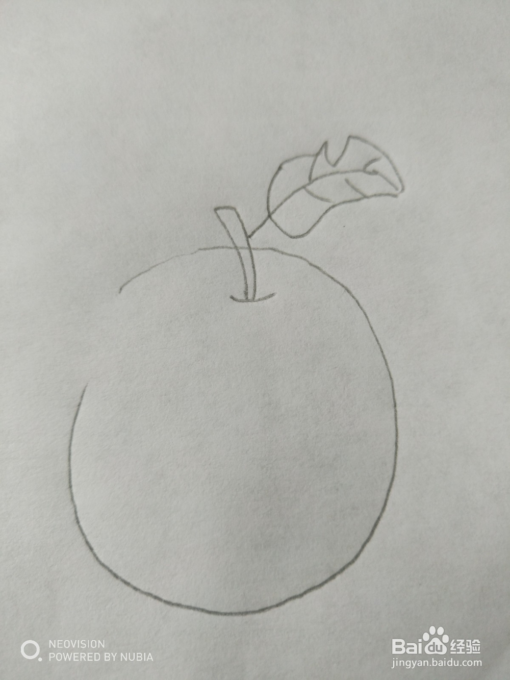 简单的苹果怎么画(七)