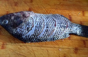 红烧罗非鱼（鲫鱼）怎么做？详细教程图解~