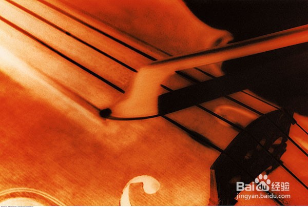 新入手需知的小提琴保养方法