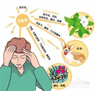 <b>皮肤过敏太烦人？几招让你轻松过春天~</b>