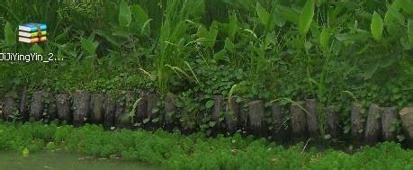 怎样安装吉吉影音播放器：[2]
