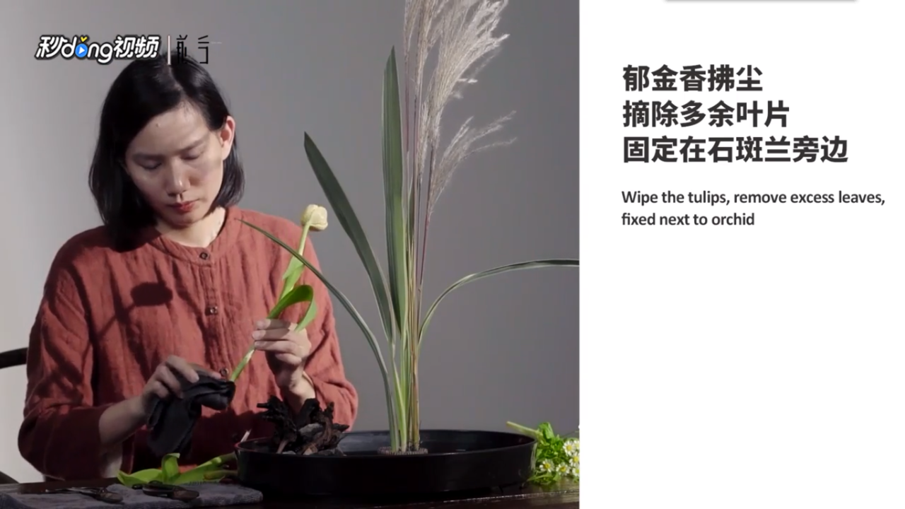 郁金香与芦苇怎么插花