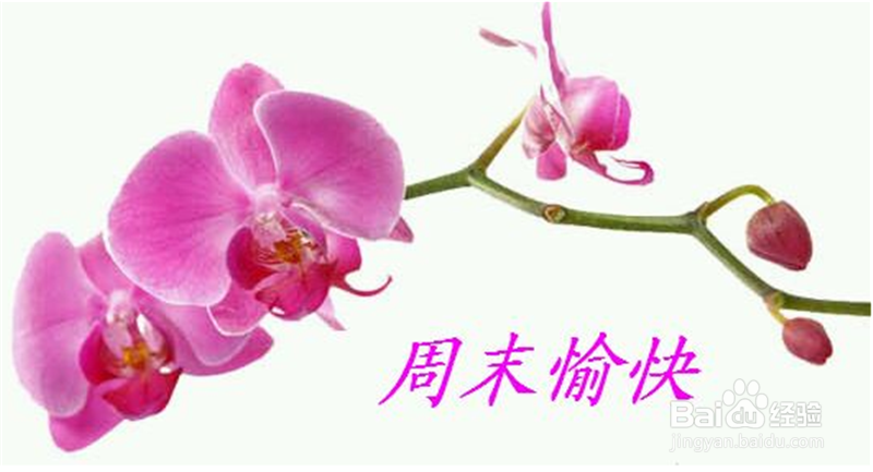 如何过一个愉快的周末