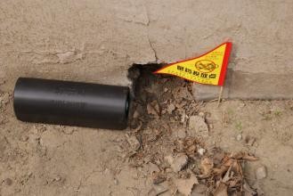 家里有老鼠怎么办