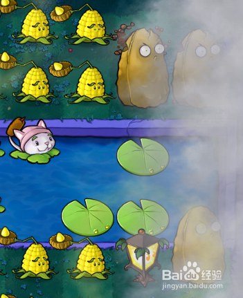 植物大战僵尸生存模式困难浓雾第六轮