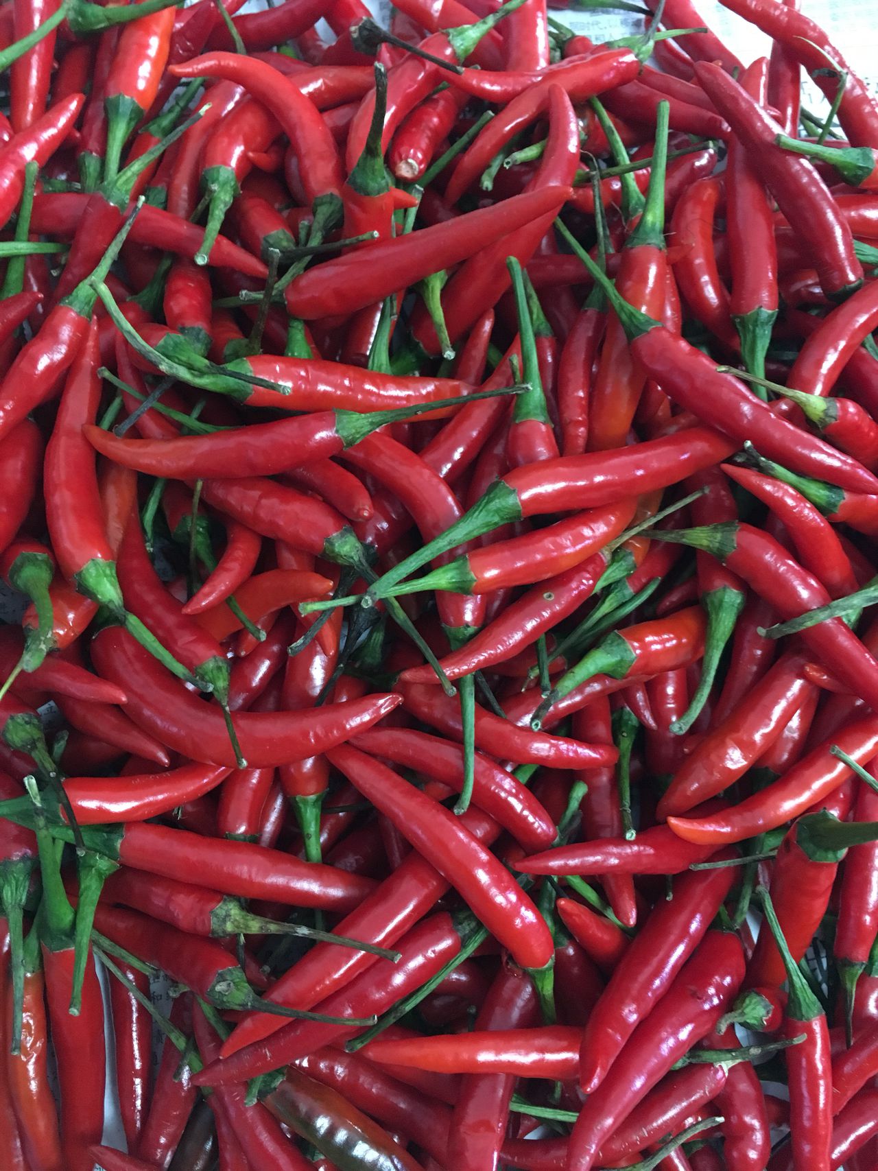 鲜辣的蒜蓉辣椒酱,刚好可以下饭哦