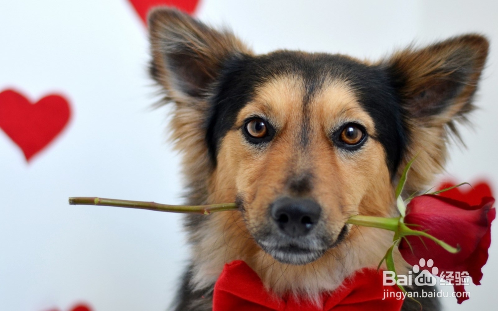 带你走向完美人生