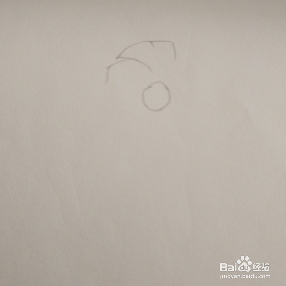 简笔画36:花朵画法